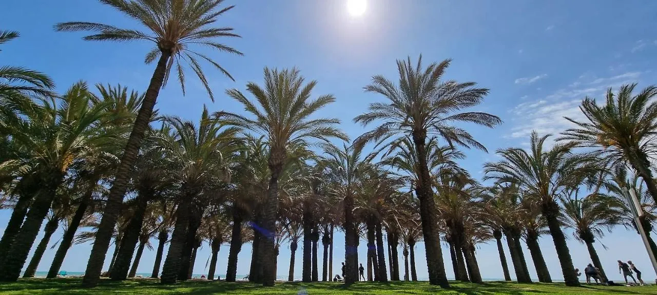 Excellent Location- Beach, Pool, Telework, 2 Bikes, Parking & Wifi Gratis At 